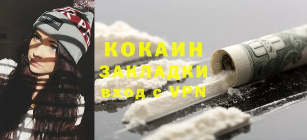 гидра Козловка