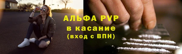 гидра Козловка