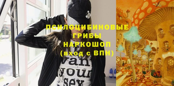 гидра Козловка