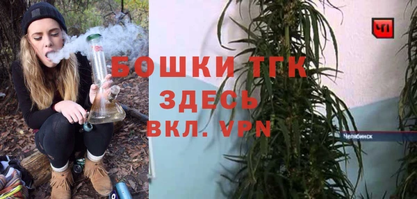 гидра Козловка