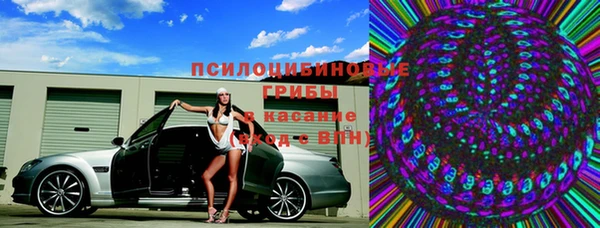 гидра Козловка