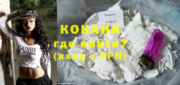 гидра Козловка