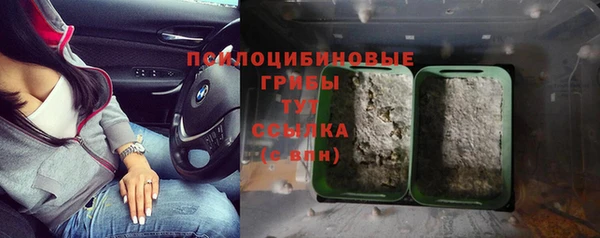 прущая мука Козельск