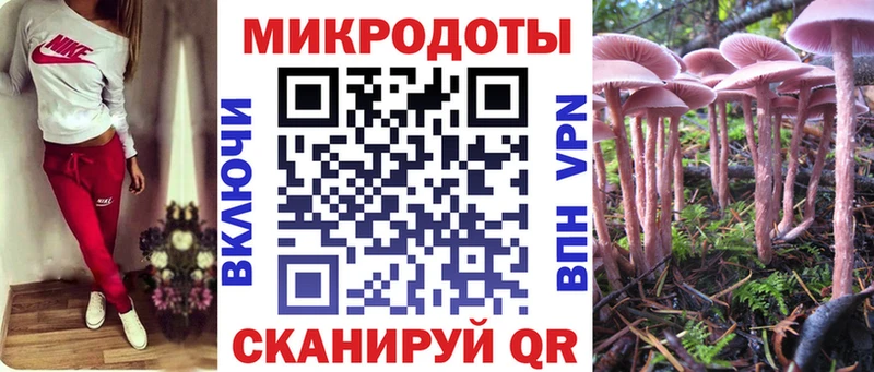 Псилоцибиновые грибы MAGIC MUSHROOMS  Купить  Малгобек 