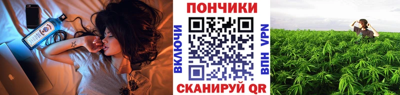 Купить  Малгобек  Каннабис OG Kush 